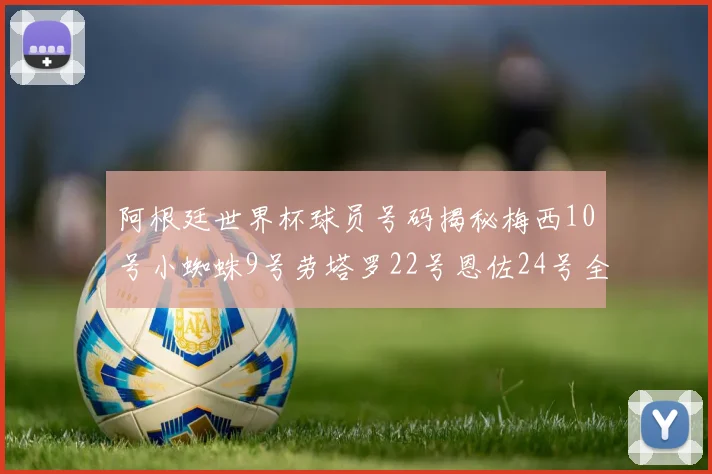 阿根廷世界杯球员号码揭秘梅西10号小蜘蛛9号劳塔罗22号恩佐24号全解析